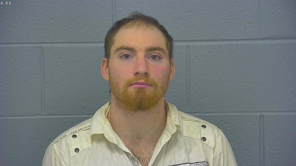 Arrest photo of BRANDON TAYLOR